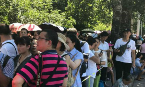 参观最高学府有多难？清华凌晨三四点就有人排队