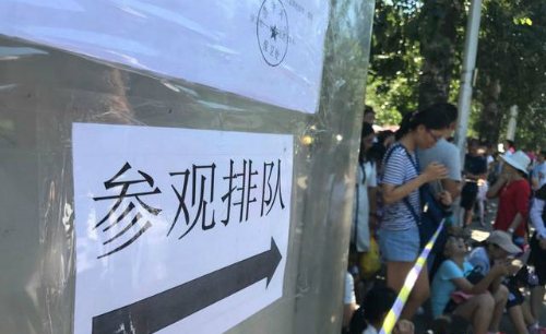 参观最高学府有多难？清华凌晨三四点就有人排队