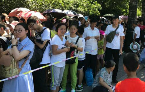 参观最高学府有多难？清华凌晨三四点就有人排队