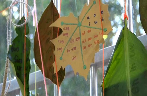 老师要求树叶上写拼音 小学生扛芭蕉叶交作业