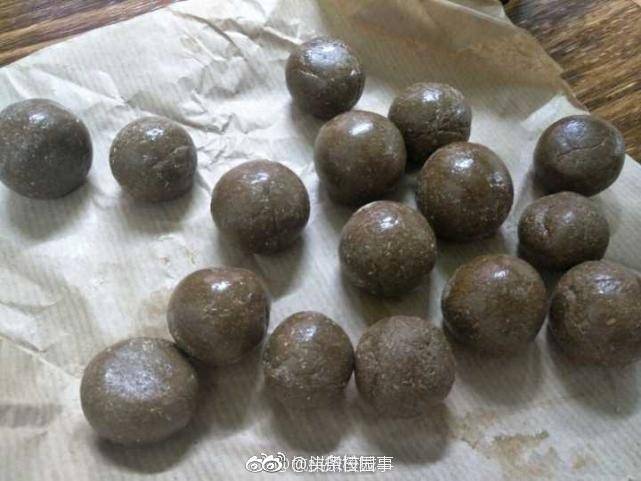 浙江大学有一门中药课 老师教学生炼丹药