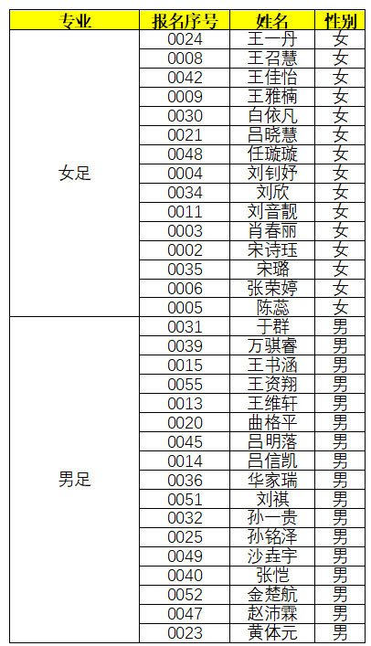 足球后备.png