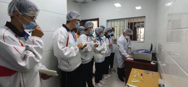农药残留快检